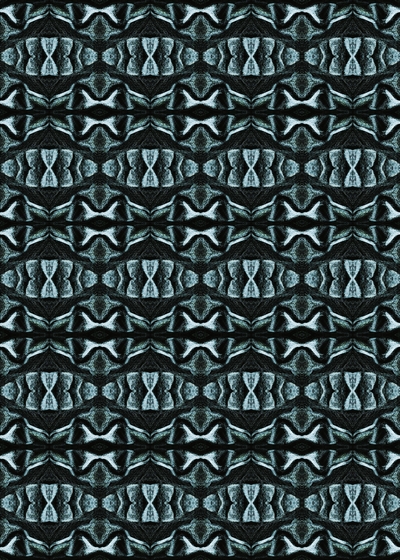 motif13