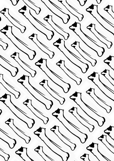 motif8